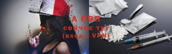 прущая мука Корсаков