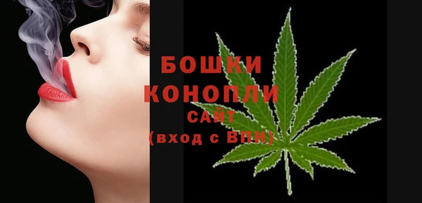 прущая мука Корсаков