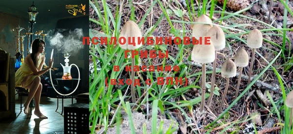 марихуана Щигры