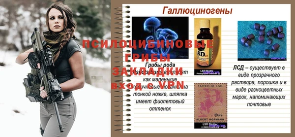 прущая мука Корсаков